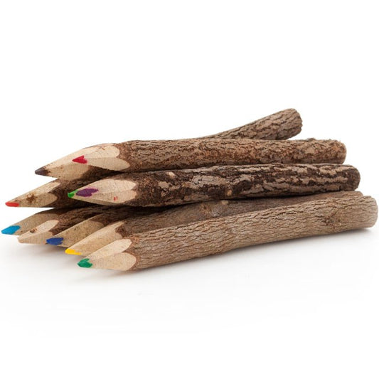 SET OF 10 TWIG PENCILS - HAND CRAFTED IN THAILAND- COLOURED
